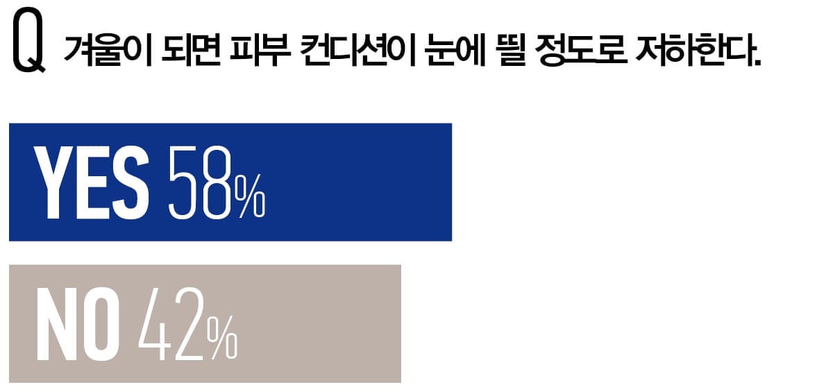 겨울이 되면 피부 컨디션이 눈에 띌 정도로 저하한다