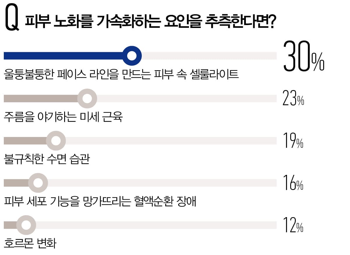 피부 노화를 가속화하는 요인을 추측한다면?