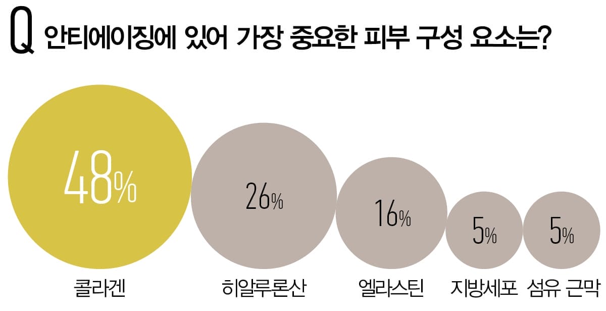 안티에이징에 있어 가장 중요한 피부 구성 요소는?